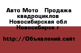 Авто Мото - Продажа квадроциклов. Новосибирская обл.,Новосибирск г.